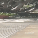 läheltä.gif