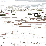 maaliin_väkisillä.gif