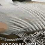 magnetglove.gif