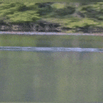 mahalasku6.gif