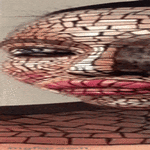 makeup3.gif