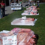 meat_is_murder.jpg