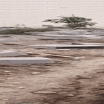 melkee_onnistu.gif