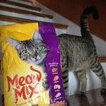 meowmix.jpg