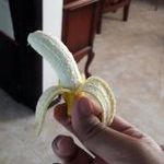 mini_banaani.jpg