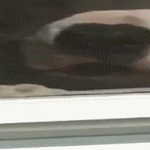 minulta_et_karkuun_pääse.gif