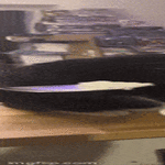 mitas_toi_on4.gif