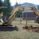 mom_the_dog_digging_in_the_yard_again.jpg