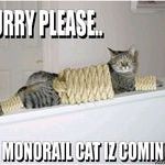 monorail_cat_is_coming.jpg