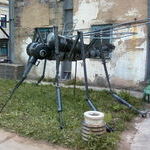 mosquito09.jpg