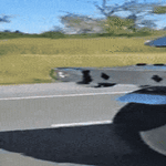 motskari4.gif