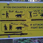 mountain_lion_sign.jpg