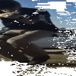 move_move_6.gif
