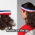 mullettia.jpg