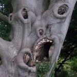 mutant_tree.jpg