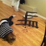 my_cousin_ashamed_after_building_a_chair_from_ikea.jpg