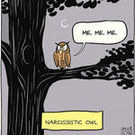 narcissistic_owl.jpg