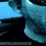 natures_free_dental_plan.gif