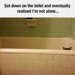never_alone_when_you_have_a_cat.jpg