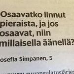 niin_osaako.jpg