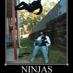 ninjas2.jpg
