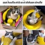no_eikai_siina_sitte3.jpg