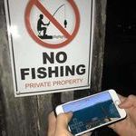 no_fishing_here.jpg