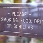 no_gorillas_sign.jpg