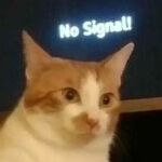 no_signal3.jpg