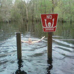 no_swimming5.jpg