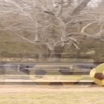 normipaiva7.gif