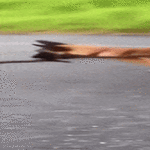 nouti_itsensa.gif
