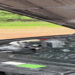 ny_roiskuu.gif