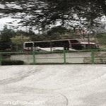nyt_tokkas3.gif