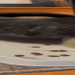 nälkäne_kaveri.gif