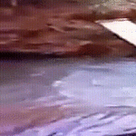 ohjelma3.gif