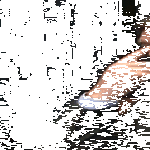 oho_9.gif