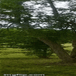 old_but_gold3.gif