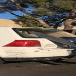 ollie2.gif