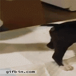 omnomnom8.gif