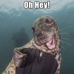 ooooh_heyy.jpg
