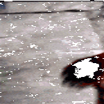 oranki.gif