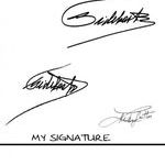 other_people_signature.jpg