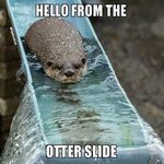 otter_slide.jpg