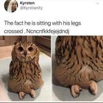owllegs.jpg