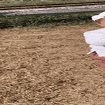 palloleikki.gif