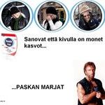 panadol_chuck_norris.jpg