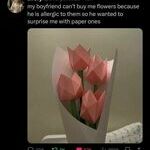 paperroses.jpg