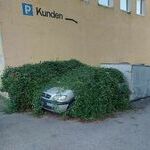 parkkipaikka15.jpg