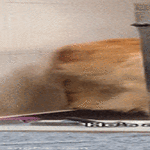 parturissa7.gif